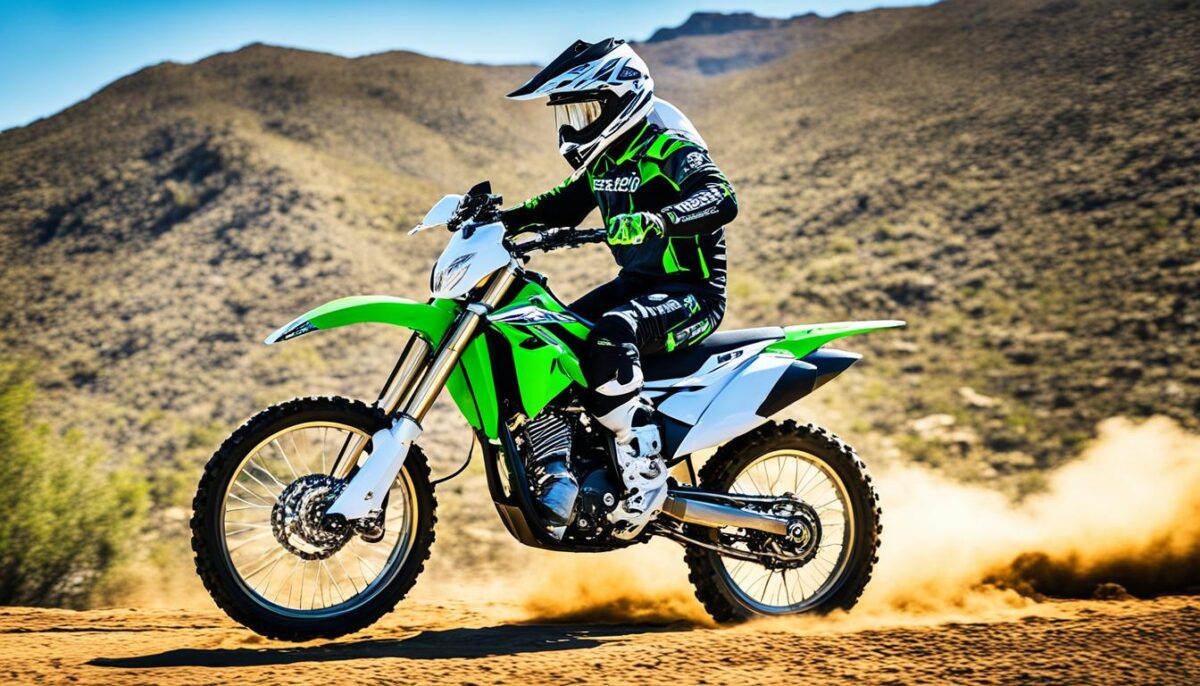 KLX230R customization